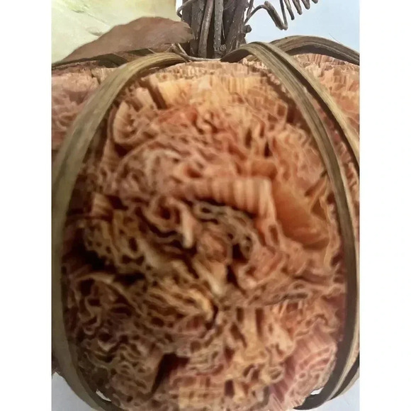 Fall Pumpkin Natural Materials Halloween Harvest Decor Orange 5” x 5” - Picture 5 of 5